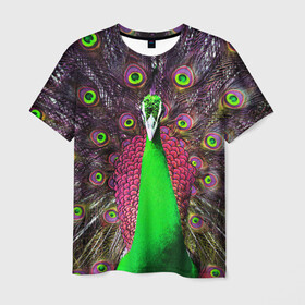 Мужская футболка 3D с принтом Оперение Павлина в Екатеринбурге, 100% полиэфир | прямой крой, круглый вырез горловины, длина до линии бедер | peacock | peafowl | plumage | оперение | павлин