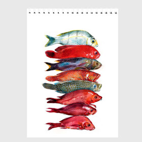 Скетчбук с принтом рыбки в Екатеринбурге, 100% бумага
 | 48 листов, плотность листов — 100 г/м2, плотность картонной обложки — 250 г/м2. Листы скреплены сверху удобной пружинной спиралью | ocean | sea | sea animal | графика | лосось | море | океан | рисунок рыбы | рыба | рыбалка | форель