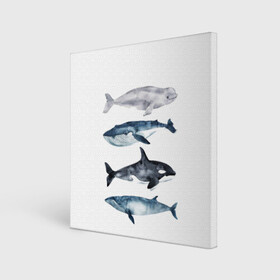 Холст квадратный с принтом киты в Екатеринбурге, 100% ПВХ |  | Тематика изображения на принте: ocean | orca | sea | sea animal | whale | белуха | дельфин | касатка | кит | море | океан | рисунок кита | синий кит
