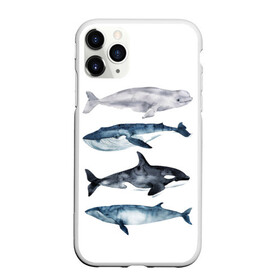 Чехол для iPhone 11 Pro матовый с принтом киты в Екатеринбурге, Силикон |  | ocean | orca | sea | sea animal | whale | белуха | дельфин | касатка | кит | море | океан | рисунок кита | синий кит