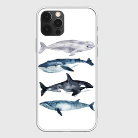 Чехол для iPhone 12 Pro Max с принтом киты в Екатеринбурге, Силикон |  | ocean | orca | sea | sea animal | whale | белуха | дельфин | касатка | кит | море | океан | рисунок кита | синий кит