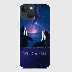 Чехол для iPhone 13 mini с принтом косатка в Екатеринбурге,  |  | ocean | orca | sea | sea animal | дельфин | касатка | кит | море | океан | рисунок кита