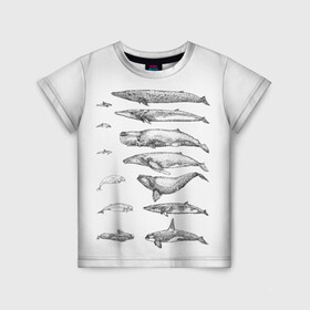 Детская футболка 3D с принтом киты графика в Екатеринбурге, 100% гипоаллергенный полиэфир | прямой крой, круглый вырез горловины, длина до линии бедер, чуть спущенное плечо, ткань немного тянется | ocean | orca | sea | sea animal | whale | графика | дельфин | касатка | кит | море | океан | плакат | рисунок кита