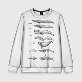 Детский свитшот 3D с принтом киты графика в Екатеринбурге, 100% полиэстер | свободная посадка, прямой крой, мягкая тканевая резинка на рукавах и понизу свитшота | ocean | orca | sea | sea animal | whale | графика | дельфин | касатка | кит | море | океан | плакат | рисунок кита