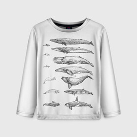 Детский лонгслив 3D с принтом киты графика в Екатеринбурге, 100% полиэстер | длинные рукава, круглый вырез горловины, полуприлегающий силуэт
 | ocean | orca | sea | sea animal | whale | графика | дельфин | касатка | кит | море | океан | плакат | рисунок кита