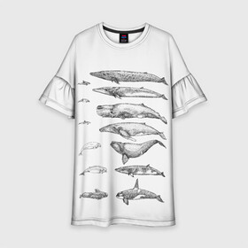Детское платье 3D с принтом киты графика в Екатеринбурге, 100% полиэстер | прямой силуэт, чуть расширенный к низу. Круглая горловина, на рукавах — воланы | Тематика изображения на принте: ocean | orca | sea | sea animal | whale | графика | дельфин | касатка | кит | море | океан | плакат | рисунок кита