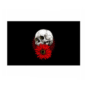 Бумага для упаковки 3D с принтом Череп и Красный Цветок Skull в Екатеринбурге, пластик и полированная сталь | круглая форма, металлическое крепление в виде кольца | Тематика изображения на принте: flowers | head | skulls | букет | голова | животные | кости | мозги | паттерн | полосы | природа | розы | скелет | текстура | узор | флора | хо | цветы | черепа | черный | яркий