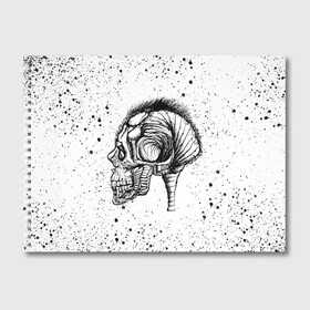 Альбом для рисования с принтом Череп Зверь и Брызги в Екатеринбурге, 100% бумага
 | матовая бумага, плотность 200 мг. | beast | head | skulls | vampire | голова | животные | зверь | зубы | кости | мозги | паттерн | полосы | природа | скелет | текстура | точки | узор | хо | цветы | чб | черепа | черный | яркий