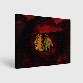 Холст прямоугольный с принтом CHICAGO NHL в Екатеринбурге, 100% ПВХ |  | blackhawks | chicago | iron | logo | nhl | red | sport | usa | блэкхоукс | железо | логотип | нхл | сетка | спорт | сша | хоккей | чикаго