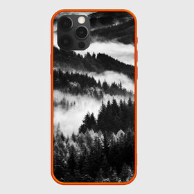 Чехол для iPhone 12 Pro с принтом ТУМАННЫЙ ЛЕС  МРАЧНЫЙ ЛЕС в Екатеринбурге, силикон | область печати: задняя сторона чехла, без боковых панелей | tegunvteg | деревья | ели | лес | мрачный | природа | туман | туманный