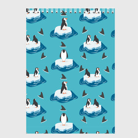 Скетчбук с принтом Пингвины в Екатеринбурге, 100% бумага
 | 48 листов, плотность листов — 100 г/м2, плотность картонной обложки — 250 г/м2. Листы скреплены сверху удобной пружинной спиралью | море | морские | океан | пингвин | пингвинчик | пингвины | плавники акул