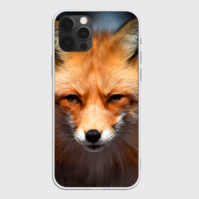 Чехол для iPhone 12 Pro с принтом Хитрая лисица в Екатеринбурге, силикон | область печати: задняя сторона чехла, без боковых панелей | fox | foxy | животное | звери | лиса | лисенок | лисичка | милая | рыжая | фокс