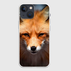 Чехол для iPhone 13 mini с принтом Хитрая лисица в Екатеринбурге,  |  | fox | foxy | животное | звери | лиса | лисенок | лисичка | милая | рыжая | фокс