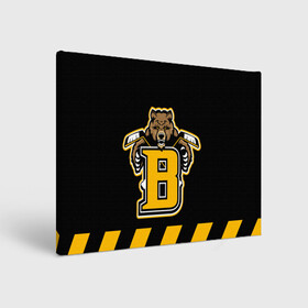 Холст прямоугольный с принтом BOSTON BRUINS в Екатеринбурге, 100% ПВХ |  | black | boston | bruins | hockey | ice | logo | nhl | sport | usa | бостон | брюинз | кубок | логотип | медведь | нхл | спорт | стэнли | хоккей
