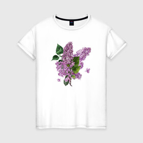 Женская футболка хлопок с принтом СИРЕНЬ АКВАРЕЛЬЮ в Екатеринбурге, 100% хлопок | прямой крой, круглый вырез горловины, длина до линии бедер, слегка спущенное плечо | акварель | акварельные | акварелью | бабочки | букет | букет из цветов | летние цветы | сиреневые цветы | сирень | цветы