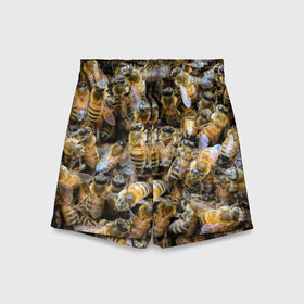 Детские спортивные шорты 3D с принтом Пчёлы в Екатеринбурге,  100% полиэстер
 | пояс оформлен широкой мягкой резинкой, ткань тянется
 | Тематика изображения на принте: живность | животное | животные | насекомое | насекомые | пчела | пчёлка | пчёлки | пчёлы