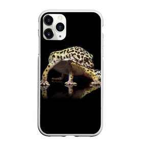 Чехол для iPhone 11 Pro матовый с принтом ЭУБЛЕФАР  EUBLEPHARIS в Екатеринбурге, Силикон |  | tegunvteg | геккон | гекон | зублефар | леопардовый геккон | эу | эублефар | ящерица