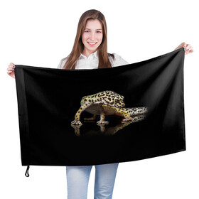 Флаг 3D с принтом ЭУБЛЕФАР  EUBLEPHARIS в Екатеринбурге, 100% полиэстер | плотность ткани — 95 г/м2, размер — 67 х 109 см. Принт наносится с одной стороны | tegunvteg | геккон | гекон | зублефар | леопардовый геккон | эу | эублефар | ящерица