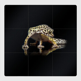 Магнитный плакат 3Х3 с принтом ЭУБЛЕФАР  EUBLEPHARIS в Екатеринбурге, Полимерный материал с магнитным слоем | 9 деталей размером 9*9 см | tegunvteg | геккон | гекон | зублефар | леопардовый геккон | эу | эублефар | ящерица