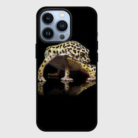 Чехол для iPhone 13 Pro с принтом ЭУБЛЕФАР  EUBLEPHARIS в Екатеринбурге,  |  | Тематика изображения на принте: tegunvteg | геккон | гекон | зублефар | леопардовый геккон | эу | эублефар | ящерица