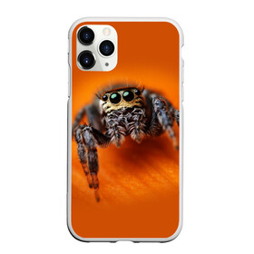 Чехол для iPhone 11 Pro матовый с принтом ПАУК  SPIDER в Екатеринбурге, Силикон |  | tegunvteg | глаза | животные | макро | насекомые | паук | природа