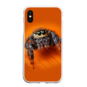 Чехол для iPhone XS Max матовый с принтом ПАУК  SPIDER в Екатеринбурге, Силикон | Область печати: задняя сторона чехла, без боковых панелей | tegunvteg | глаза | животные | макро | насекомые | паук | природа