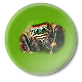 Значок с принтом ПАУК ВБЛИЗИ в Екатеринбурге,  металл | круглая форма, металлическая застежка в виде булавки | tegunvteg | глаза | животные | макро | насекомые | паук | природа
