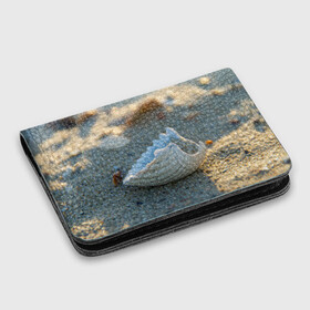 Картхолдер с принтом с принтом Морская ракушка в Екатеринбурге, натуральная матовая кожа | размер 7,3 х 10 см; кардхолдер имеет 4 кармана для карт; | морская | морские | песок | пляж | пляжный | ракушка | ракушки