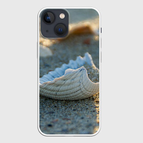 Чехол для iPhone 13 mini с принтом Морская ракушка в Екатеринбурге,  |  | морская | морские | песок | пляж | пляжный | ракушка | ракушки