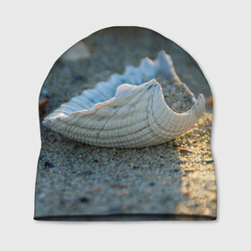 Шапка 3D с принтом Морская ракушка в Екатеринбурге, 100% полиэстер | универсальный размер, печать по всей поверхности изделия | морская | морские | песок | пляж | пляжный | ракушка | ракушки