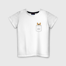 Детская футболка хлопок с принтом Корги в кармане_01 в Екатеринбурге, 100% хлопок | круглый вырез горловины, полуприлегающий силуэт, длина до линии бедер | corgi | dog | вельш корги | карман | корги | коржик | собака