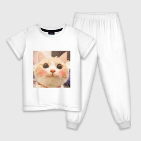 Детская пижама хлопок с принтом Мем про котов в Екатеринбурге, 100% хлопок |  брюки и футболка прямого кроя, без карманов, на брюках мягкая резинка на поясе и по низу штанин
 | белый | кот | мем | милый | прикол