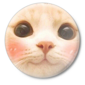 Значок с принтом Мем про котов в Екатеринбурге,  металл | круглая форма, металлическая застежка в виде булавки | Тематика изображения на принте: белый | кот | мем | милый | прикол