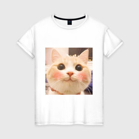 Женская футболка хлопок с принтом Мем про котов в Екатеринбурге, 100% хлопок | прямой крой, круглый вырез горловины, длина до линии бедер, слегка спущенное плечо | белый | кот | мем | милый | прикол