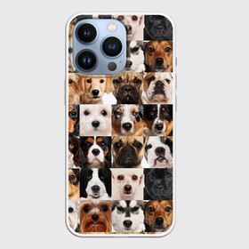 Чехол для iPhone 13 Pro с принтом Я ЛЮБЛЮ СОБАК   I LOVE DOGS в Екатеринбурге,  |  | collage dogs | dogs | i love dogs | домашние животные | друзья наши младшие | коллаж | собаки | собачки. | я люблю собак