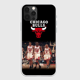 Чехол для iPhone 12 Pro с принтом CHICAGO BULLS [3] в Екатеринбурге, силикон | область печати: задняя сторона чехла, без боковых панелей | basketball | bulls | chicago | chicago bulls | jordan | nba | баскетбол | джордан | нба | чикаго буллз