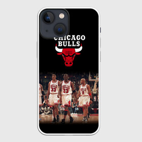 Чехол для iPhone 13 mini с принтом CHICAGO BULLS [3] в Екатеринбурге,  |  | basketball | bulls | chicago | chicago bulls | jordan | nba | баскетбол | джордан | нба | чикаго буллз