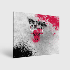 Холст прямоугольный с принтом CHICAGO BULLS [8] в Екатеринбурге, 100% ПВХ |  | basketball | bulls | chicago | chicago bulls | jordan | nba | баскетбол | джордан | нба | чикаго буллз