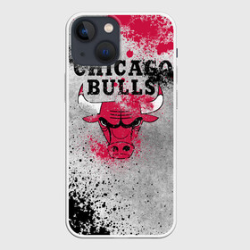 Чехол для iPhone 13 mini с принтом CHICAGO BULLS [8] в Екатеринбурге,  |  | basketball | bulls | chicago | chicago bulls | jordan | nba | баскетбол | джордан | нба | чикаго буллз