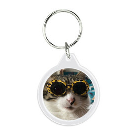Брелок круглый с принтом Мем про кота в Екатеринбурге, пластик и полированная сталь | круглая форма, металлическое крепление в виде кольца | Тематика изображения на принте: в очках | киса селфи | кот | мем | милый | прикол