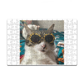Головоломка Пазл магнитный 126 элементов с принтом Мем про кота в Екатеринбурге, полимерный материал с магнитным слоем | 126 деталей, размер изделия —  180*270 мм | Тематика изображения на принте: в очках | киса селфи | кот | мем | милый | прикол