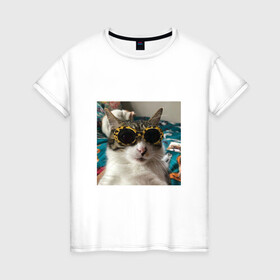 Женская футболка хлопок с принтом Мем про кота в Екатеринбурге, 100% хлопок | прямой крой, круглый вырез горловины, длина до линии бедер, слегка спущенное плечо | в очках | киса селфи | кот | мем | милый | прикол