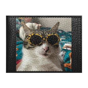 Обложка для студенческого билета с принтом Мем про кота в Екатеринбурге, натуральная кожа | Размер: 11*8 см; Печать на всей внешней стороне | Тематика изображения на принте: в очках | киса селфи | кот | мем | милый | прикол