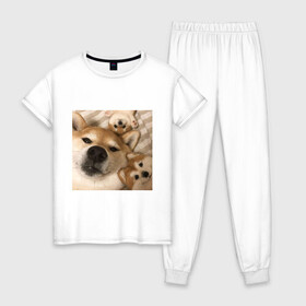 Женская пижама хлопок с принтом Мем про собак в Екатеринбурге, 100% хлопок | брюки и футболка прямого кроя, без карманов, на брюках мягкая резинка на поясе и по низу штанин | белый | игрушки мягкие | мем | милый | прикол | сиба ину | собака