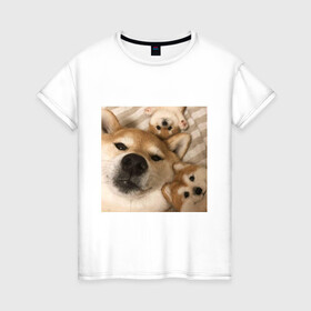 Женская футболка хлопок с принтом Мем про собак в Екатеринбурге, 100% хлопок | прямой крой, круглый вырез горловины, длина до линии бедер, слегка спущенное плечо | белый | игрушки мягкие | мем | милый | прикол | сиба ину | собака