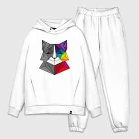 Мужской костюм хлопок OVERSIZE с принтом Color Cat в Екатеринбурге,  |  | animal | cat | cute | kitty | meow | друг | животные | киска | китти | кот | котенок | котик | котэ | кошечка | кошка | милый | мур | мяу | питомец