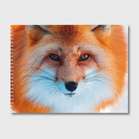 Альбом для рисования с принтом Мордочка лисы в Екатеринбурге, 100% бумага
 | матовая бумага, плотность 200 мг. | fox | foxy | животное | звери | лиса | лисенок | лисичка | милая | рыжая | фокс