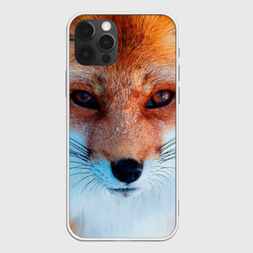 Чехол для iPhone 12 Pro с принтом Мордочка лисы в Екатеринбурге, силикон | область печати: задняя сторона чехла, без боковых панелей | fox | foxy | животное | звери | лиса | лисенок | лисичка | милая | рыжая | фокс