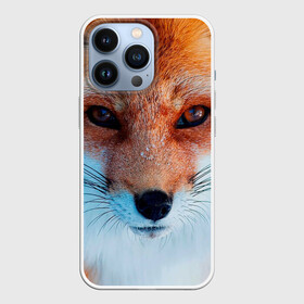 Чехол для iPhone 13 Pro с принтом Мордочка лисы в Екатеринбурге,  |  | fox | foxy | животное | звери | лиса | лисенок | лисичка | милая | рыжая | фокс