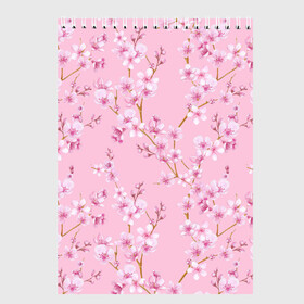 Скетчбук с принтом Цветущая розовая вишня в Екатеринбурге, 100% бумага
 | 48 листов, плотность листов — 100 г/м2, плотность картонной обложки — 250 г/м2. Листы скреплены сверху удобной пружинной спиралью | Тематика изображения на принте: cherry blossom | sakura | азия | весна | ветки | вишня | для девушки | женский | милый | нежный | природа | розовый | сакура | цветение | цветочный принт | цветущая вишня | цветущие ветки | цветущий миндаль